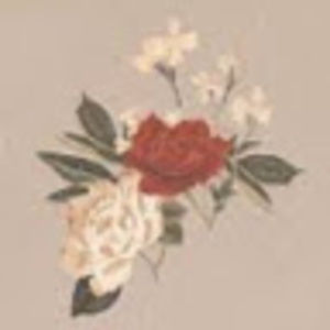 Meet your Posher, Anya